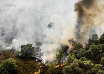 Gebied van 100 hectare getroffen door natuurbrand Noord-Limburg