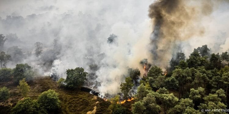 Gebied van 100 hectare getroffen door natuurbrand Noord-Limburg
