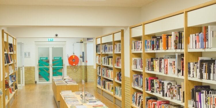 Readers still prefer paper books despite rise of digital options