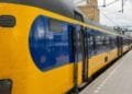Trains cancelled after dog runs on to track near The Hague